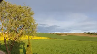 Naturlandschaft in der Nähe der Ferienwohnung