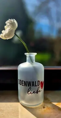 Grundriss der Unterkunft Ferienwohnung Odenwaldliebe
