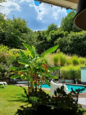 Ein Garten an der Unterkunft Casa del Sur