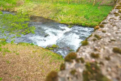 Naturlandschaft in der Nähe der Ferienwohnung