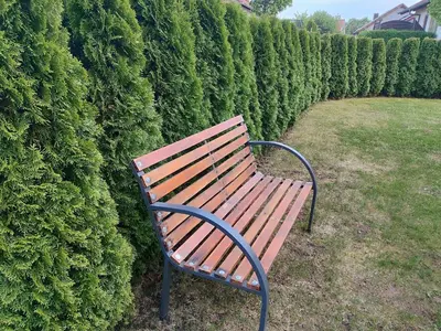 Ein Garten an der Unterkunft Idyllische Ferienwohnung