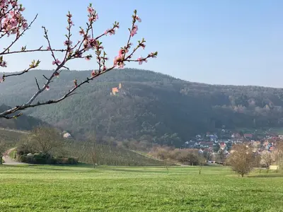 Naturlandschaft in der Nähe der Ferienwohnung