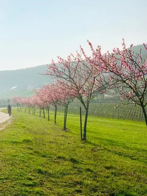 Naturlandschaft in der Nähe der Ferienwohnung