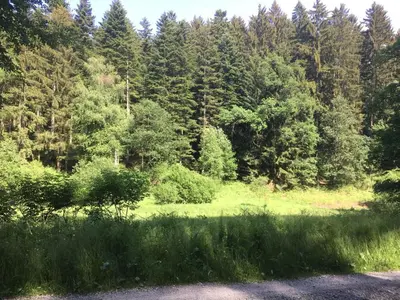 Naturlandschaft in der Nähe des Hotels