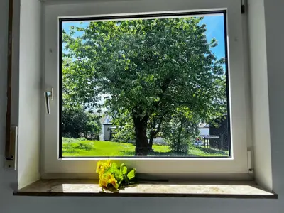 Ein Garten an der Unterkunft Apartment Ferienwohnung mit Grünem Blick Terrasse & Neu saniert Bordinghaus 24h Check-In in Freudenberg am Main