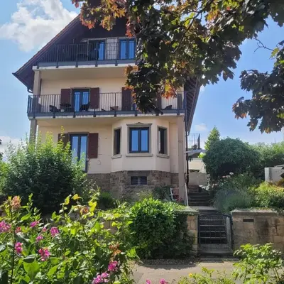 VineSinn