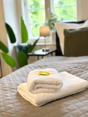 Ein Bett oder Betten in einem Zimmer der Unterkunft BELLA - Family&Business Ap 1, 100m zum Konzerteingang Schloß, Parkplatz, SmartTV, Netflix, Waschmaschine, 24h Checkin, 30qm