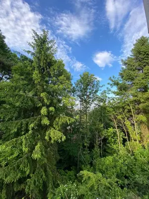 Naturlandschaft in der Nähe der Ferienwohnung