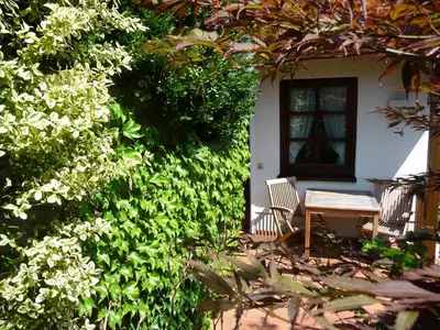 Ein Garten an der Unterkunft Ferienhaus Bohnert