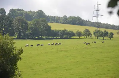 Tiere in diesem Bauernhof oder in der Nähe