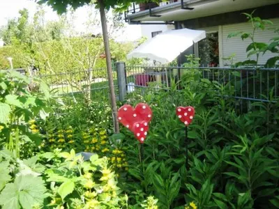 Ein Garten an der Unterkunft Haus Meckbach
