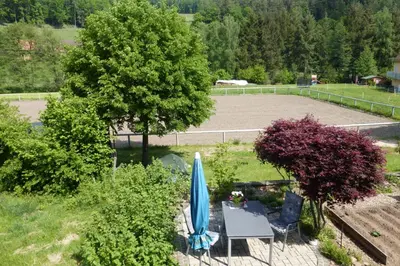 Ein Garten an der Unterkunft Ferienwohnung Katzer