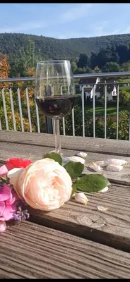 Ein Balkon oder eine Terrasse in der Unterkunft Miltenberg Ferienhaus