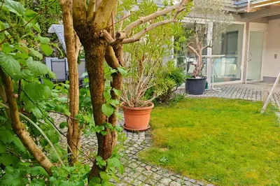 Ein Garten an der Unterkunft ZEN Loft - Küche - Terrasse - perfekte Anbindung