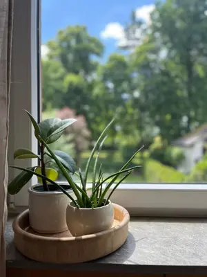 Ein Garten an der Unterkunft Liebignest