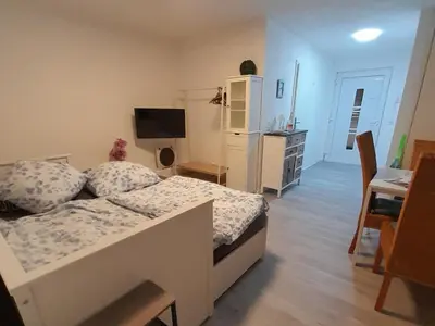 TV/Unterhaltungsangebot in der Unterkunft Apartment am Palmenhaus