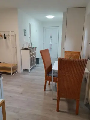 Küche/Küchenzeile in der Unterkunft Apartment am Palmenhaus