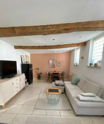 TV/Unterhaltungsangebot in der Unterkunft Ferienwohnung am Hainbach