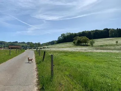 Naturlandschaft in der Nähe der Ferienwohnung
