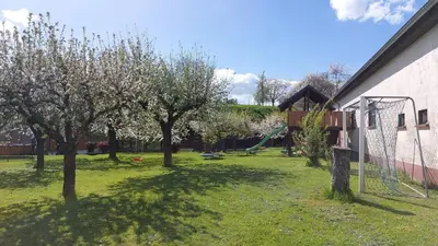 Ein Garten an der Unterkunft Ferienwohnung Zur Hofreite Fewo 5