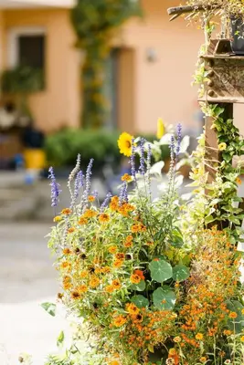 Ein Garten an der Unterkunft Ferienhof Obertor Heuboden