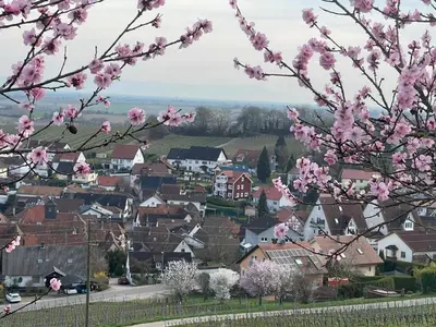 Naturlandschaft in der Nähe der Ferienwohnung