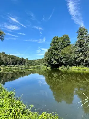 Naturlandschaft in der Nähe der Ferienwohnung
