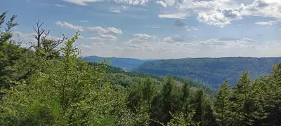 Naturlandschaft in der Nähe der Ferienwohnung
