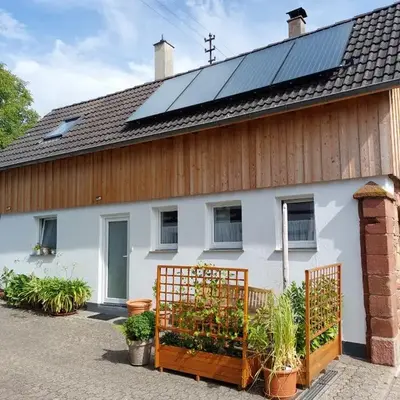 Südpfalznest