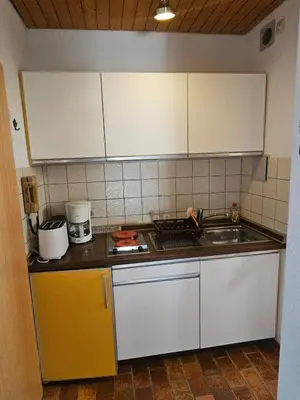 Küche/Küchenzeile in der Unterkunft Hardy's Apartment Nordschwarzwald