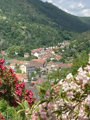 Ein allgemeiner Bergblick oder ein Berglick von der Ferienwohnung aus