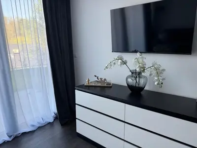 TV/Unterhaltungsangebot in der Unterkunft Karlsruhe Finest Apartments
