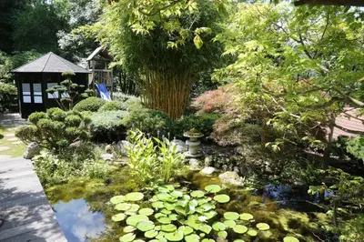 Ein Garten an der Unterkunft Panoramablick