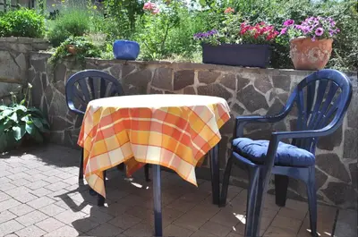 Ein Garten an der Unterkunft Ferienwohnung in den Weinreben