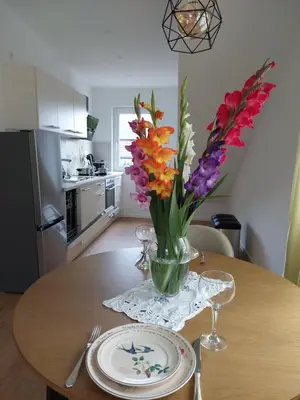 Küche/Küchenzeile in der Unterkunft Apartment Senfnest