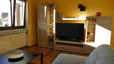 TV/Unterhaltungsangebot in der Unterkunft Ferienwohnung Hirtenberg