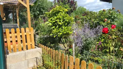 Ein Garten an der Unterkunft Haides helle Wohnung