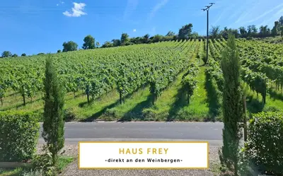 Ein Garten an der Unterkunft 3 BR BURGPANORAMA Wohnung im Haus Frey mit Ausblick, 2 Bäder, Parken vor dem Haus, Balkon, Küche