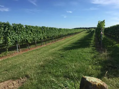 Naturlandschaft in der Nähe der Ferienwohnung