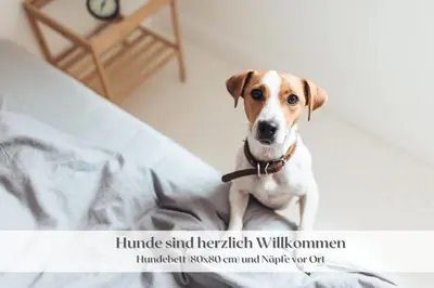Haustiere von Gästen der Unterkunft Ferienwohnung 