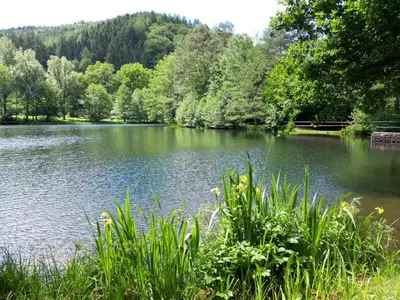 Naturlandschaft in der Nähe der Ferienwohnung