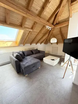 TV/Unterhaltungsangebot in der Unterkunft Neues, stilvolles Loft inmitten der Weinberge