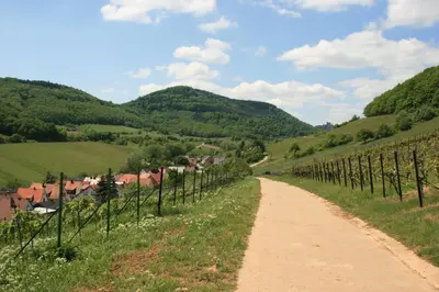 Naturlandschaft in der Nähe der Ferienwohnung