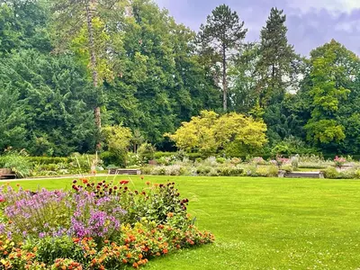 Ein Garten an der Unterkunft -Am Pfühlpark- Ferienwohnung