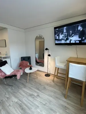 TV/Unterhaltungsangebot in der Unterkunft Apartmenthaus Wilder Mann