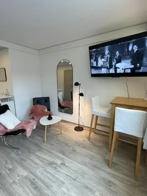TV/Unterhaltungsangebot in der Unterkunft Apartmenthaus Wilder Mann
