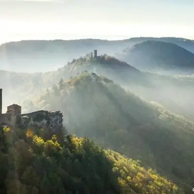 Pfalzliebe