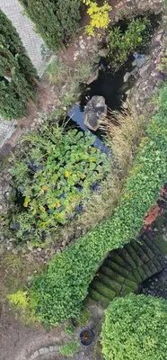 Ein Garten an der Unterkunft Studio auszeit in Speyer