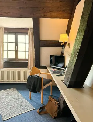 TV/Unterhaltungsangebot in der Unterkunft Herzogskelter Hotel & Restaurant