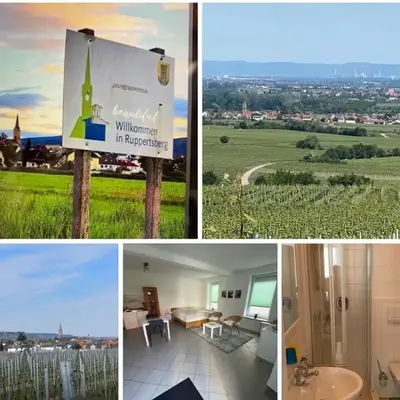 Pfalzzimmer